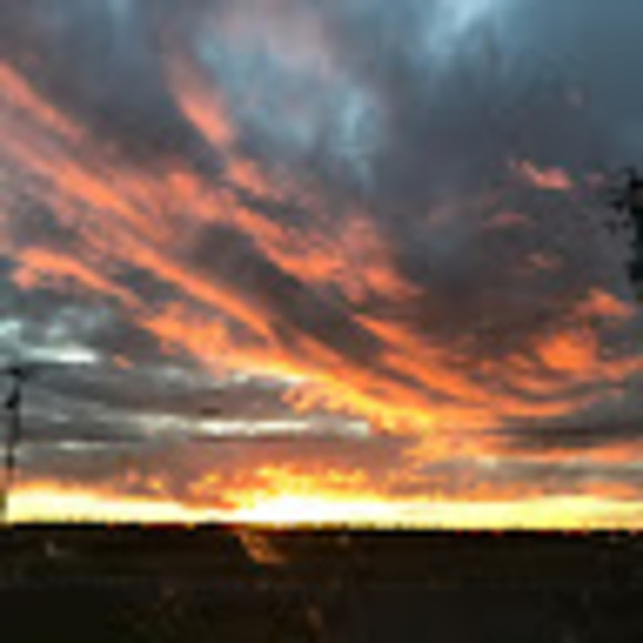leylasoleil2